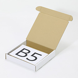 280×260×50(N式額縁)(白)