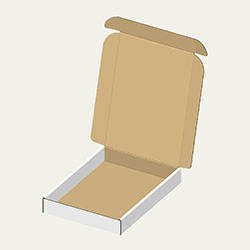 320×450×60(N式額縁)(白)