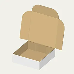 250×250×75mmでN式簡易タイプの箱