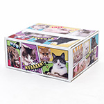 全面“猫だらけ”のアメコミ風デザインダンボール箱（宅配80・底面A4サイズ） 0