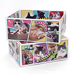 全面“猫だらけ”のアメコミ風デザインダンボール箱（宅配80・底面A4サイズ） 2