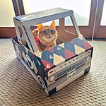ダンボール製の猫専用トラックにアーガイル柄を印刷したオリジナルグッズ | ねこトラ | 猫トラ 5