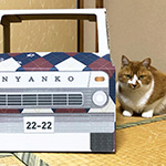 ダンボール製の猫専用トラックにアーガイル柄を印刷したオリジナルグッズ | ねこトラ | 猫トラ 7