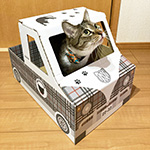 ダンボール製の猫専用トラックにタータンチェック柄を印刷したオリジナルグッズ | ねこトラ | 猫トラ 6