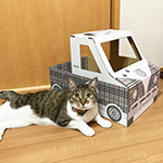 ダンボール製の猫専用トラックにタータンチェック柄を印刷したオリジナルグッズ | ねこトラ | 猫トラ 7