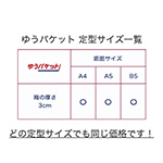 ゆうパケットの箱なら、どの定形サイズでも、フルカラーでも同じ価格！ 3