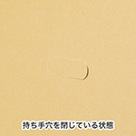 【宅配120サイズ】お花・観葉植物 発送用ダンボール箱-8