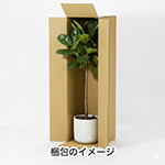 【宅配160サイズ】横長ダンボール箱 正方形タイプ 1000×280×280-7