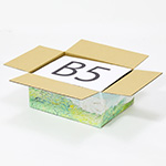 【宅配60サイズ】絵画ダンボール（ゴッホの緑の麦畑、オーヴェール）-6