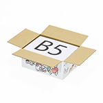 【宅配60サイズ】デザインダンボール（ねこまみれ）-2