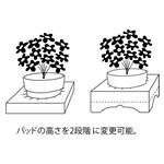 S-3ダンボール 3