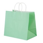 カラー紙袋(グリーン)底板付き。アレンジメントやギフトに 0