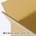 【宅配160サイズ】定番ダンボール箱（EMS対応仕様）まとめ買い-8