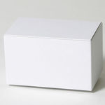 測量野帳(レベルブック)梱包用ダンボール箱 | 170×101×98mmでB式底組タイプの箱 1