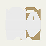 145×100×65(B式ワンタッチ手提付き)(白)-3