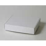 油絵F3号キャンバス梱包用ダンボール箱 | 286×230×60mmでN式額縁タイプの箱 1