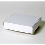 レフェリーケース梱包用ダンボール箱 | 260×210×55mmでN式額縁タイプの箱 1