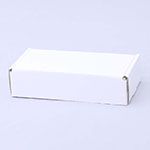 タックルボックス梱包用ダンボール箱 | 251×128×62mmでN式額縁タイプの箱 1