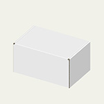 オゾン発生器梱包用ダンボール箱 | 324×215×174mmでN式額縁タイプの箱 1