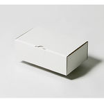 Ｎ式簡易型の組み易さとダブルロックの密封性を兼ね備えた箱 1