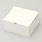 ヘッドルーペ梱包用ダンボール箱 | 249×207×120mmでN式簡易タイプの箱 1