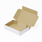 膿盆梱包用ダンボール箱 | 230×150×50mmでN式簡易タイプの箱 0