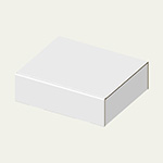 310×250×90(N式差込)(白)-2