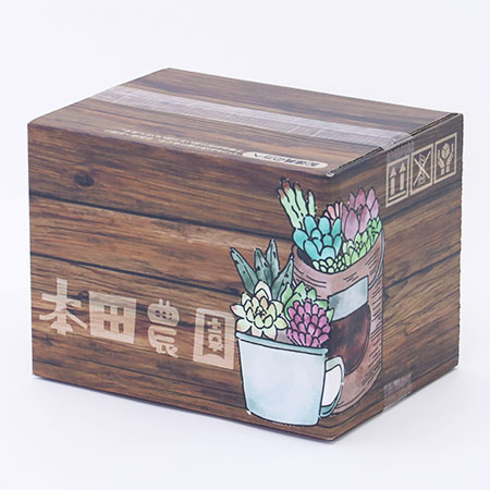 木箱 多肉植物に 30cm x 20cm x 5cm 11個セット 木箱 多肉植物に 30cm