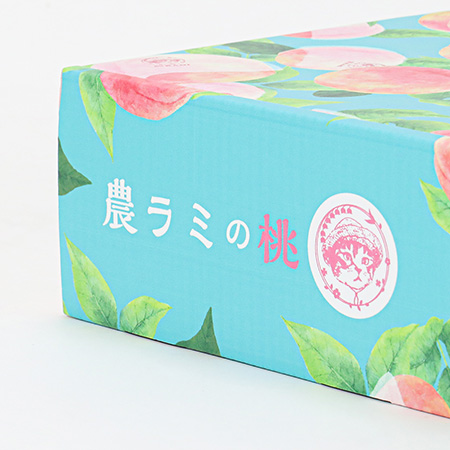 アイデアペンダントの化粧箱 ギフトボックス・アクセサリー用（黒・スポンジ付・90×90×30mm）※在庫