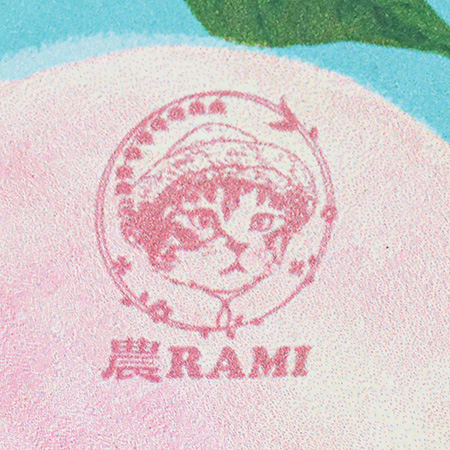 専用オークル１個とパープル１個箱無し コーナン オリジナル LIFELEX インボックス 横ハーフ クリア