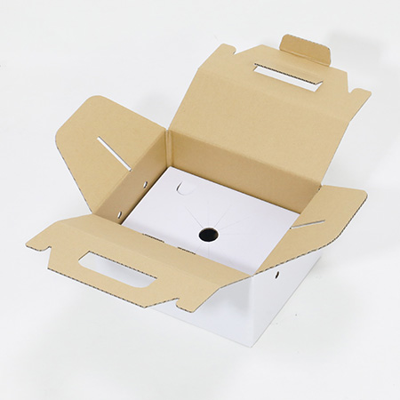 メロンとパッションフルーツのオリジナルダンボール箱｜格安価格の