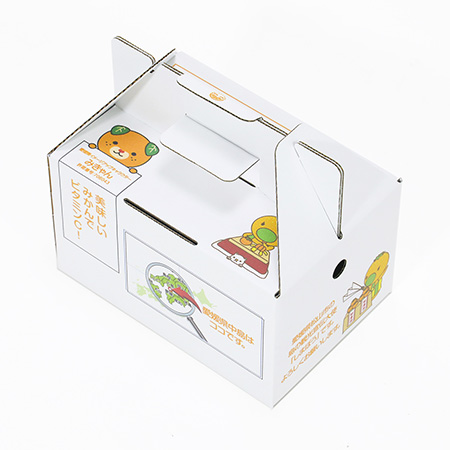 みかん箱3箱分ダンボールパンパン詰めます　杉　葉 みかん箱3箱分ダンボールパンパン詰めます 杉 葉 みかん箱3箱分