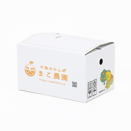 みかん3kg用持ち手付きオリジナルダンボール箱｜格安価格のダンボール