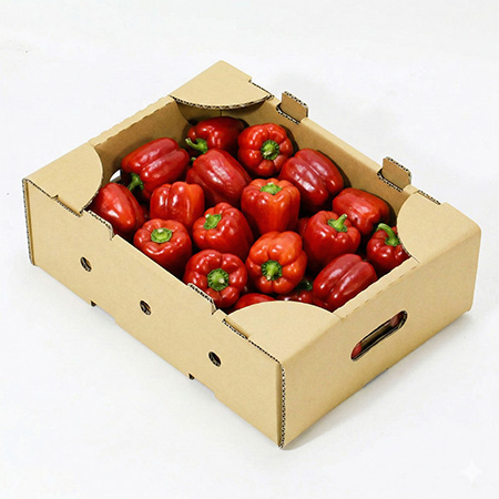 パプリカ出荷用ダンボール(収穫コンテナ代替)のオリジナル製作事例