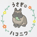 うさぎの野菜発送用 可愛すぎるダンボール箱 3