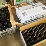 茄子（ナス）出荷用オリジナルダンボール箱 3