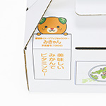 みかん3kg用持ち手付きオリジナルダンボール箱 3