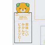 みかん5kg・10kg発送用オリジナルダンボール箱 3