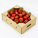 パプリカ出荷用ダンボール（収穫コンテナ代替）のオリジナル製作事例 3