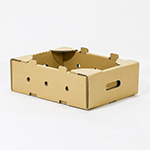 パプリカ出荷用ダンボール（収穫コンテナ代替）のオリジナル製作事例 3