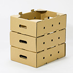 パプリカ出荷用ダンボール（収穫コンテナ代替）のオリジナル製作事例 3