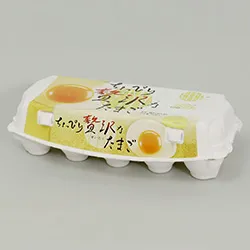 卵通販に最適。卵の写真が印刷された玉子ケース（10ケ用）