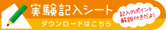 記入のポイント解説付き実験記入シートのダウンロードはこちら