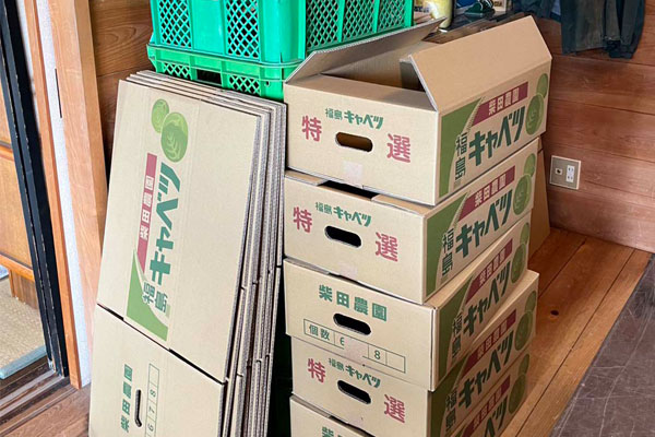 パンダより恋が苦手な私たち