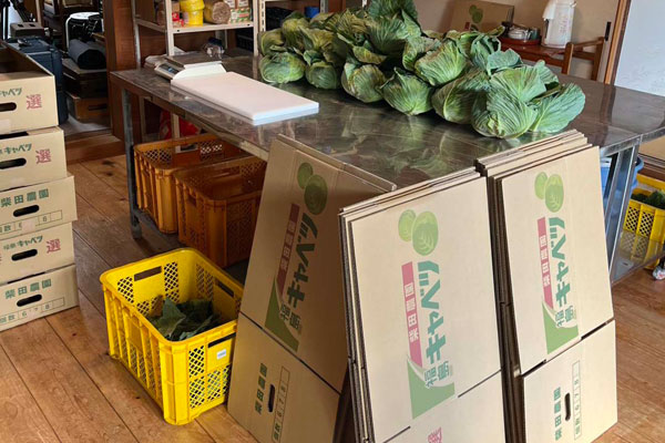 パンダより恋が苦手な私たち