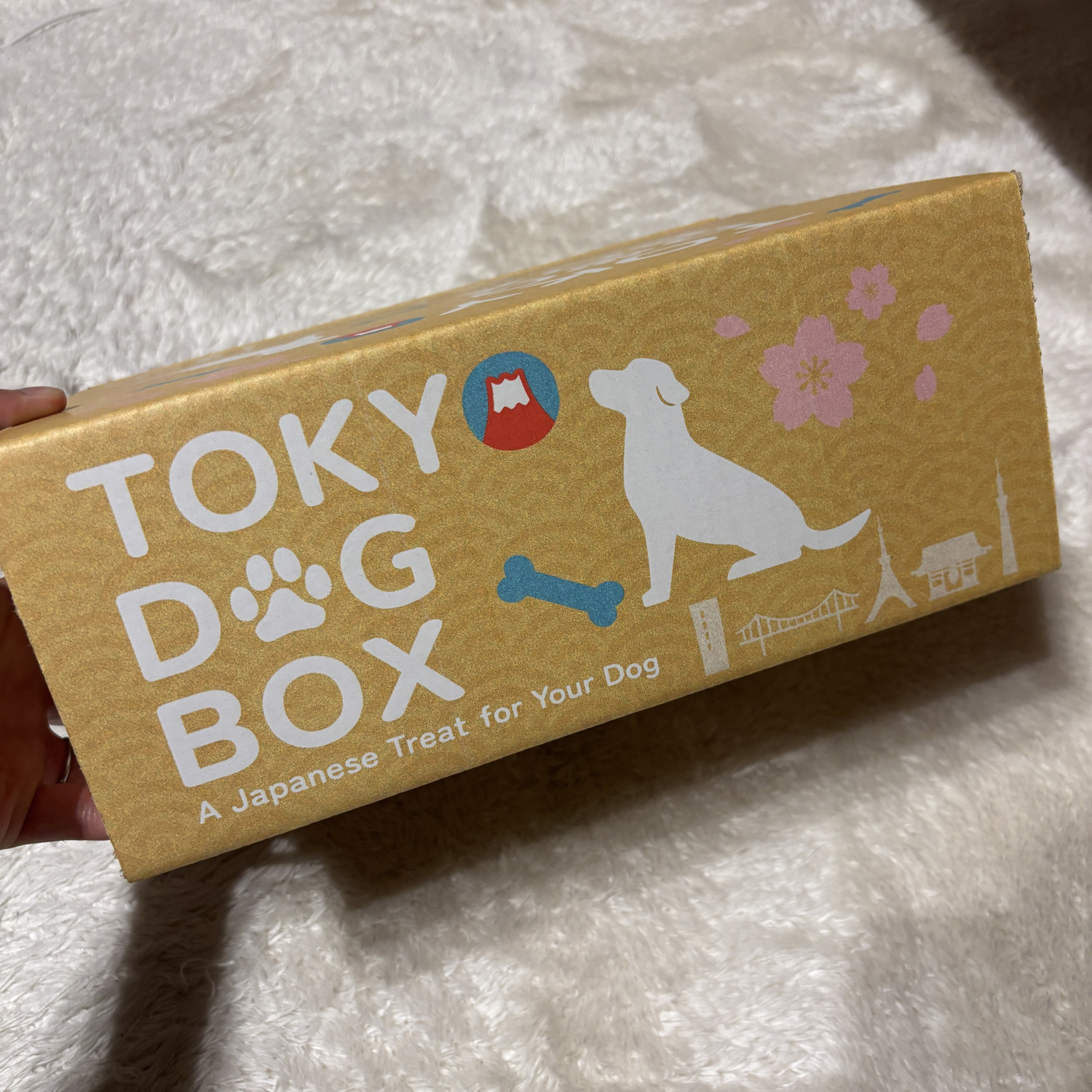 お客様の使用例