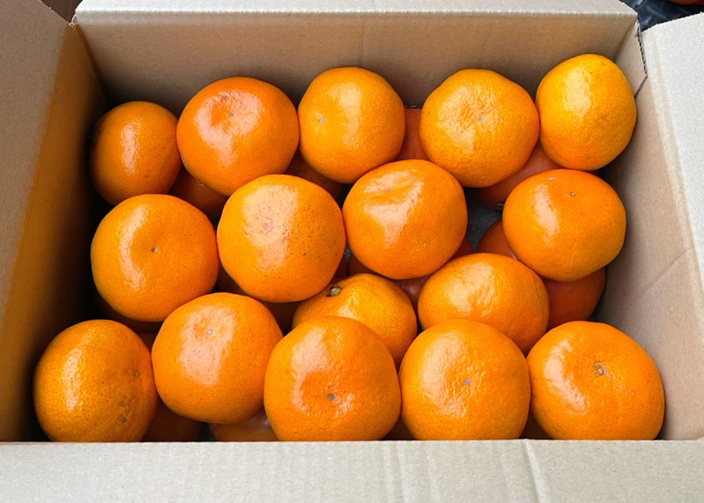 お客様の使用例