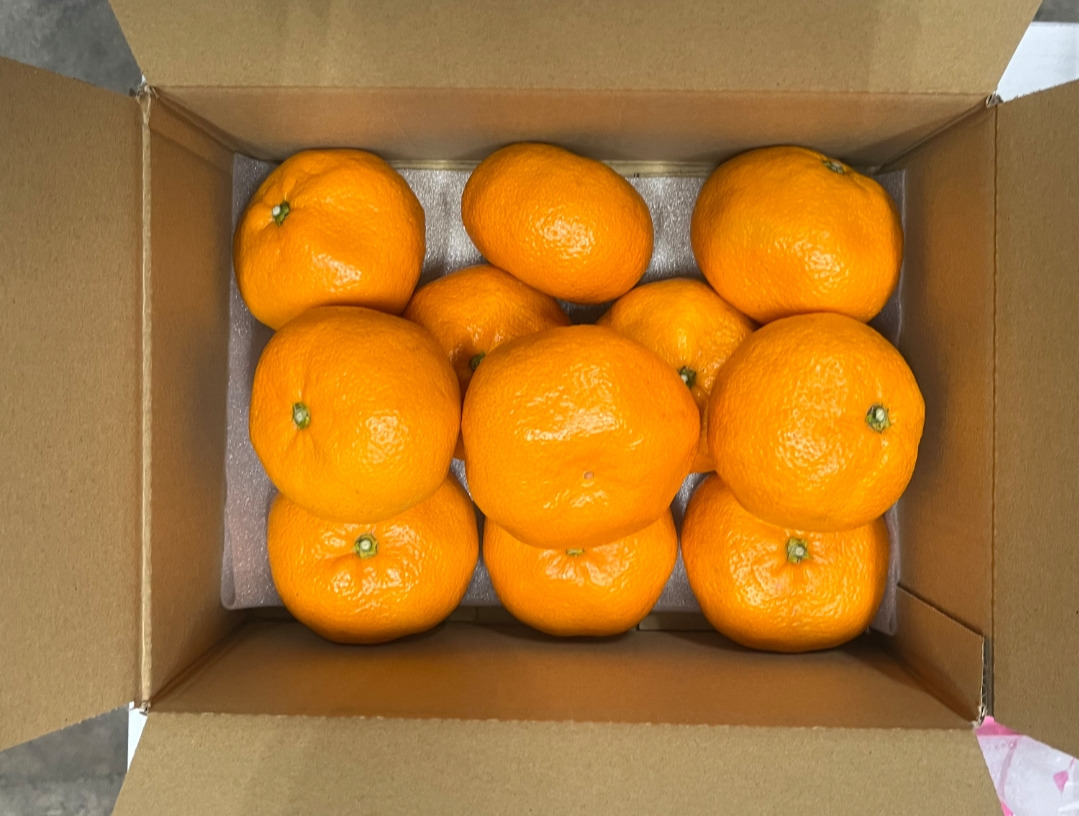 お客様の使用例