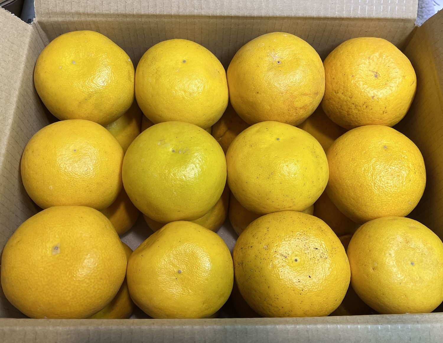 お客様の使用例