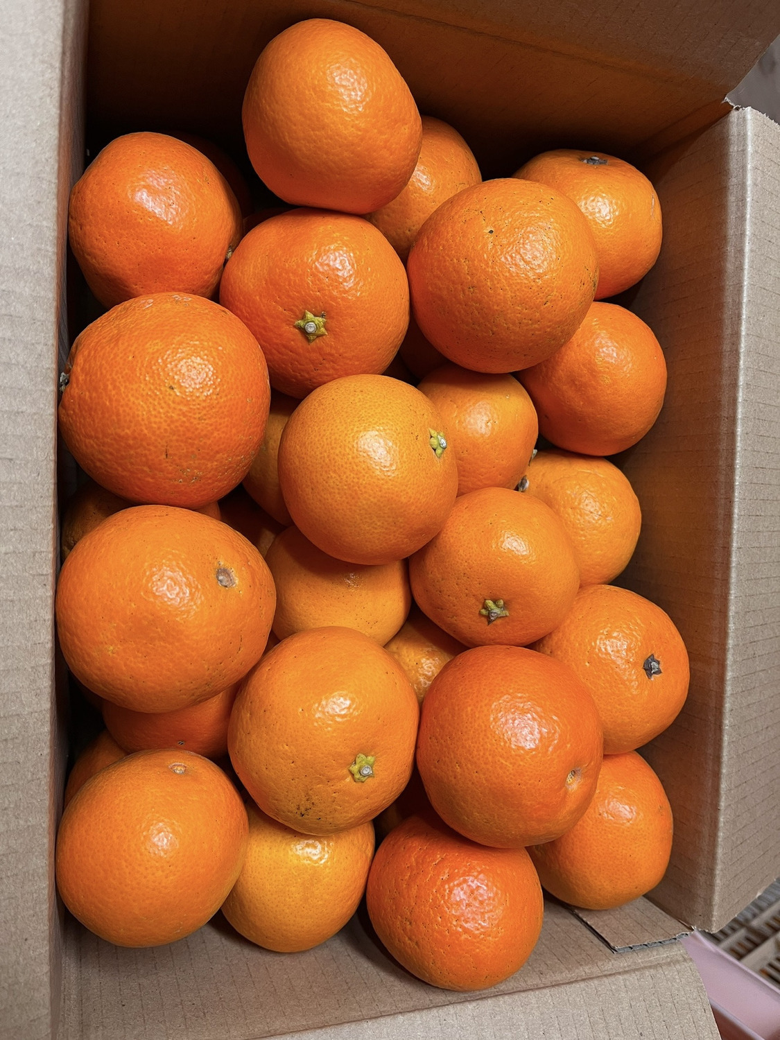 お客様の使用例